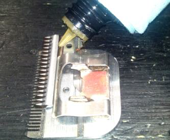 Properly oiling a clipper blade 3