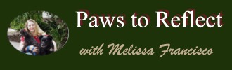 blog-paws-to-reflect-button